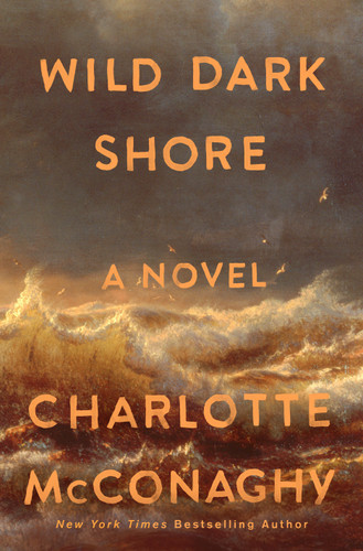 Charlotte McConaghy's "Wild Dark Shore" book cover. A dark sky meets crashing waves.