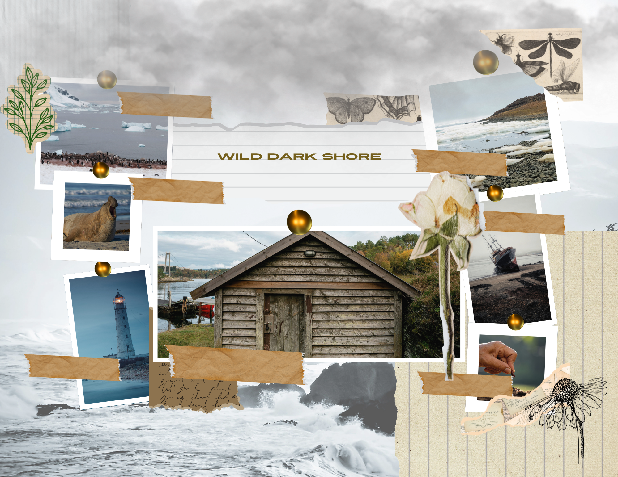 Charlotte McConaghy’s “Wild Dark Shore”: Love, Desolation, & Hope.
