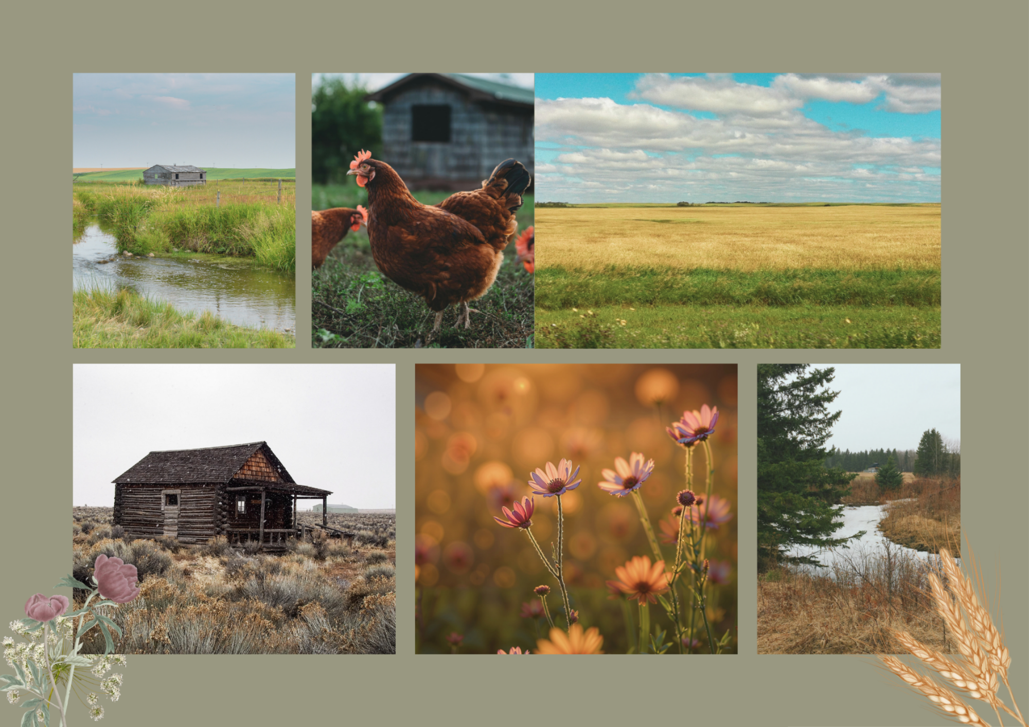 Elinor Florence’s “Finding Flora”: Fierce Resilience, Community & Love