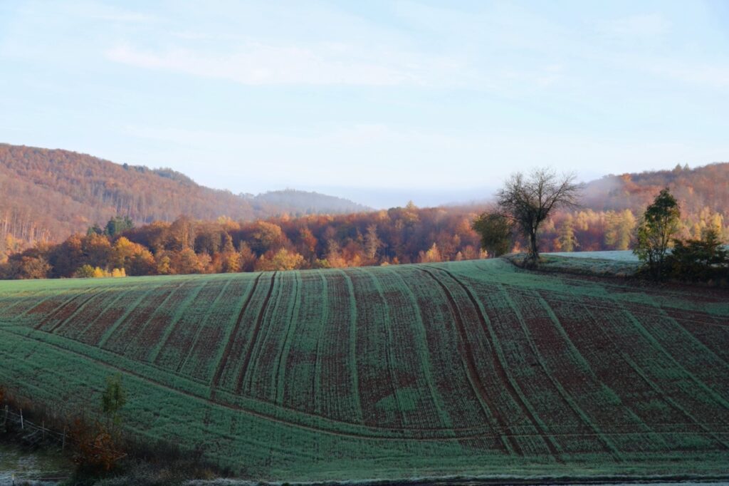 Rolling green hills in shadow, with autumn trees behind it.